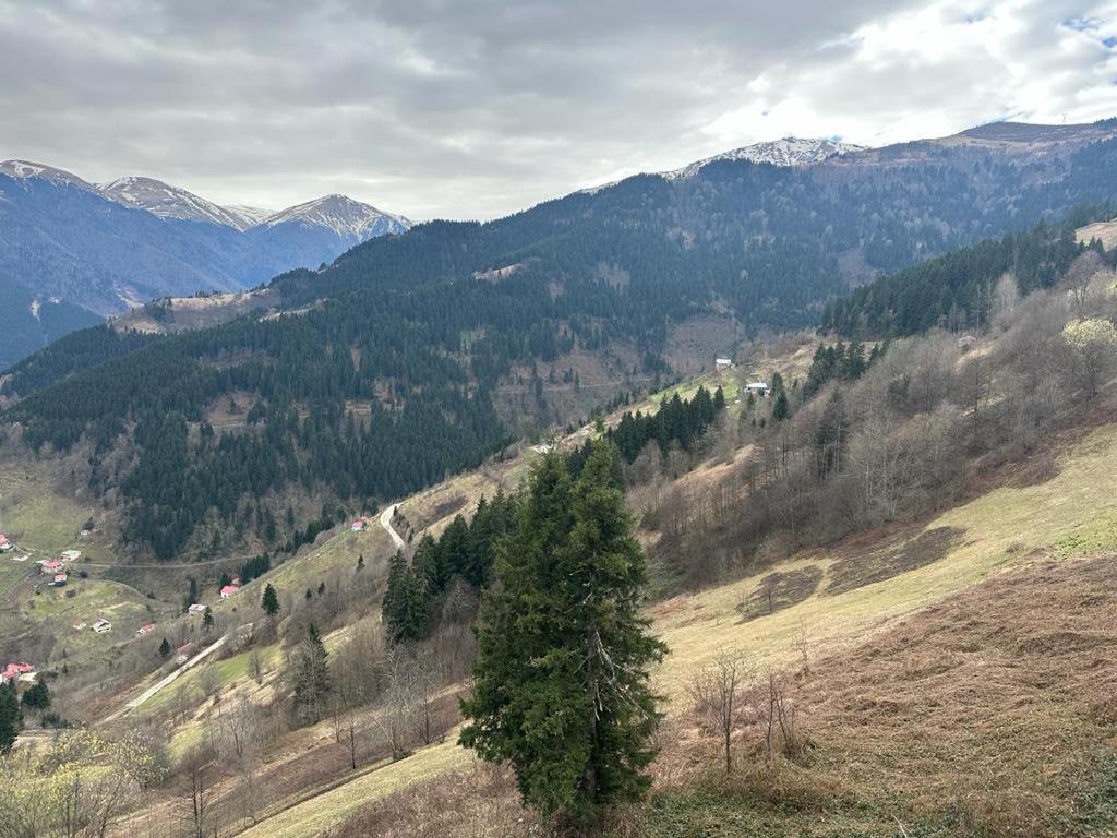 Meseici Butik Hotel Macka Buitenkant foto